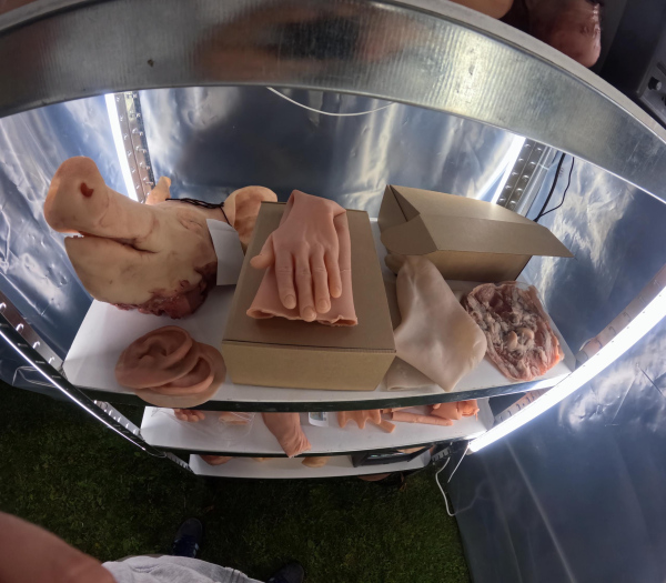 Silicone body casts displayed on shelves in the AwithA Body Shop installation, Lapinlahti Film Festival, Helsinki, 2026